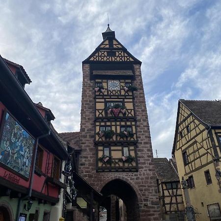 شقة Riquewihr Centre Historique المظهر الخارجي الصورة